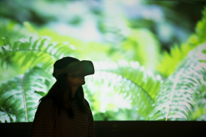 A student using VR technology to view a picture.