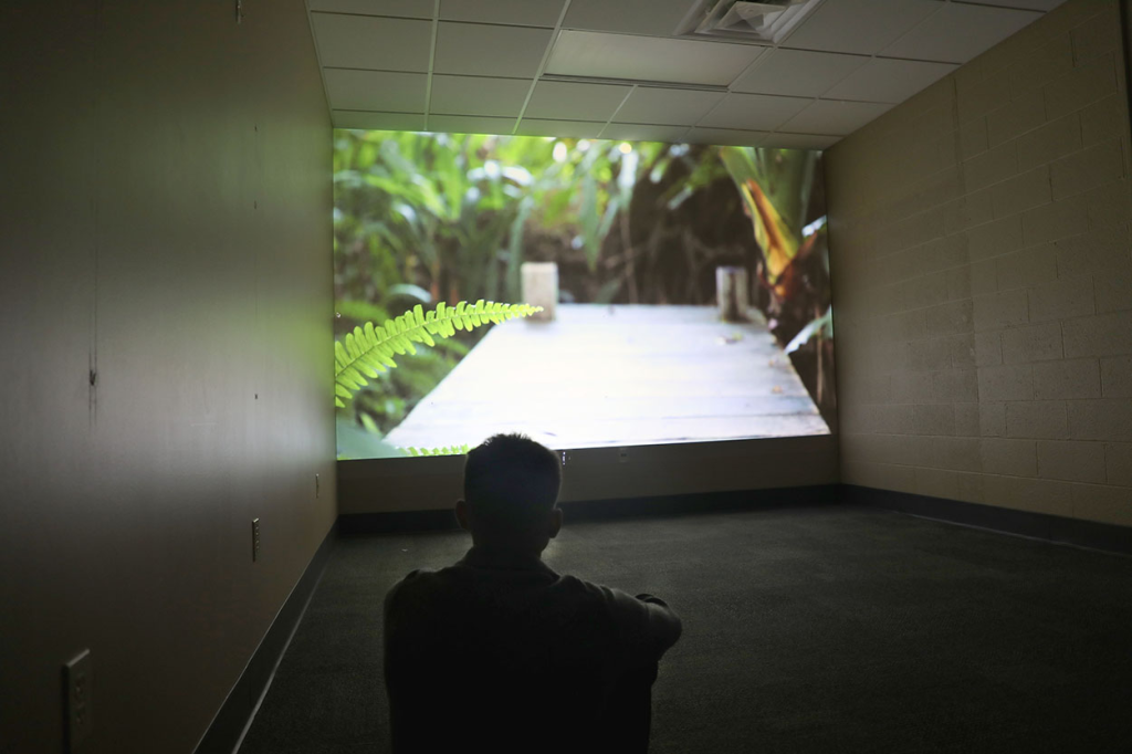 A picture of an individual sitting in a dark room looking at a photo being projected on the wall.