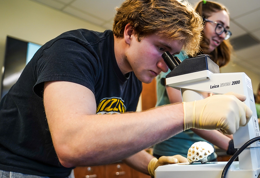 A student looking through a microscope at an item.