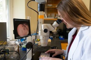 Caitlin Mattingly performing a research task while in a laboratory.