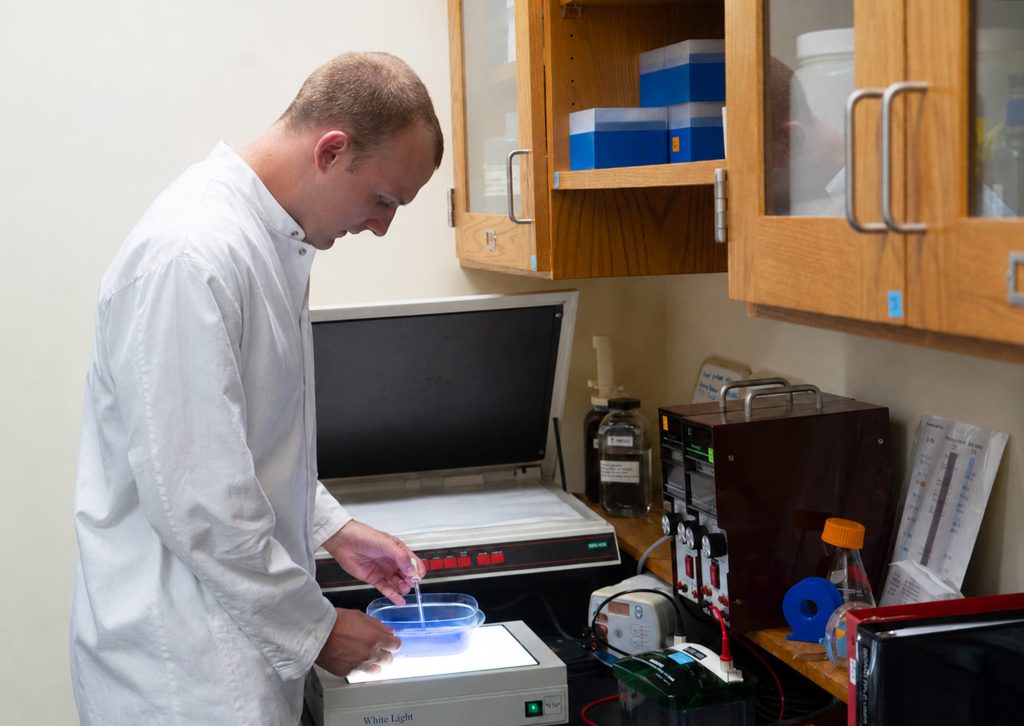 Cole Brodeur performing a research task in a laboratory.