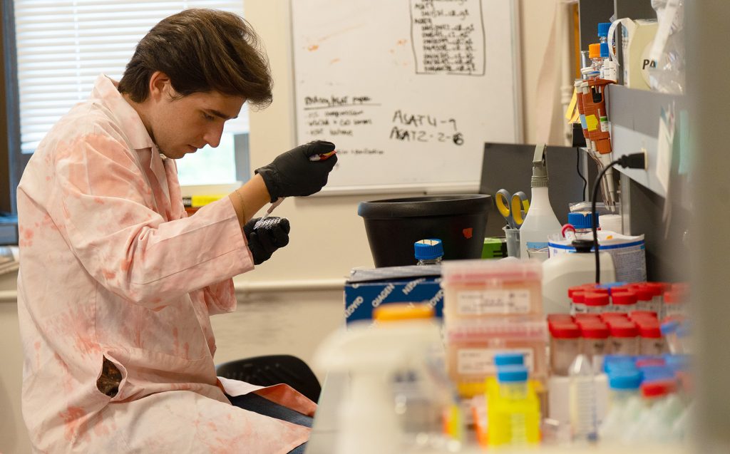 Jacob Hicks performing a research task in a research laboratory.