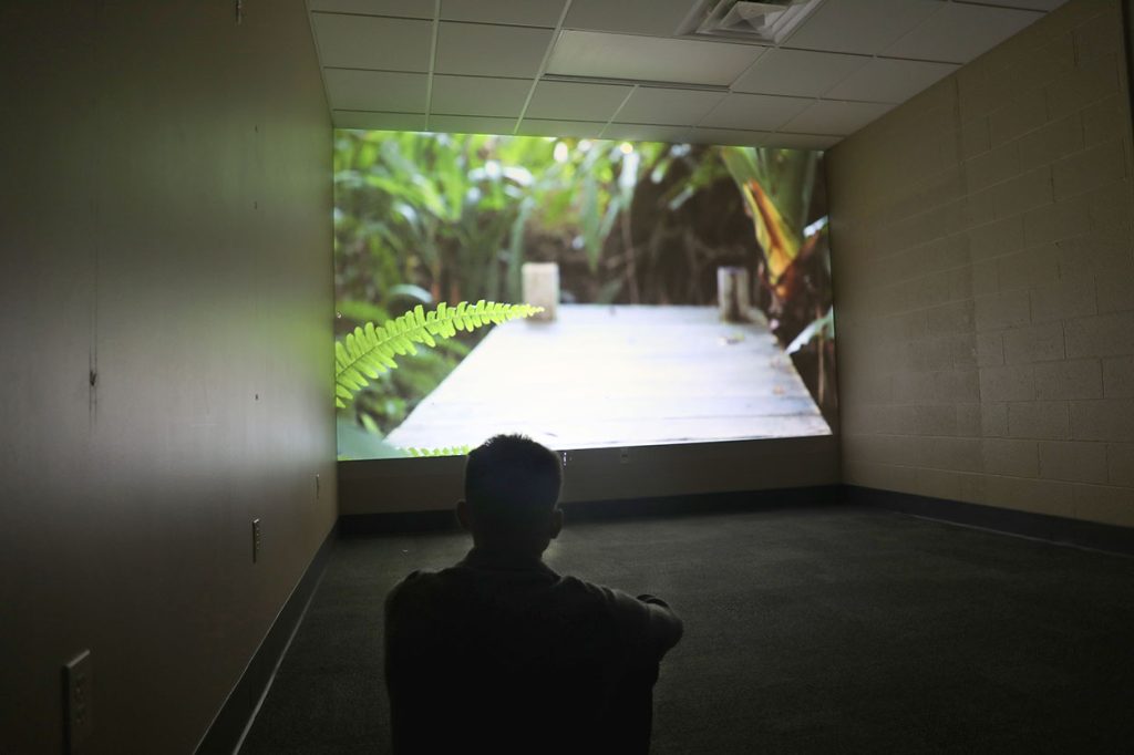 An individual watching a projector screen