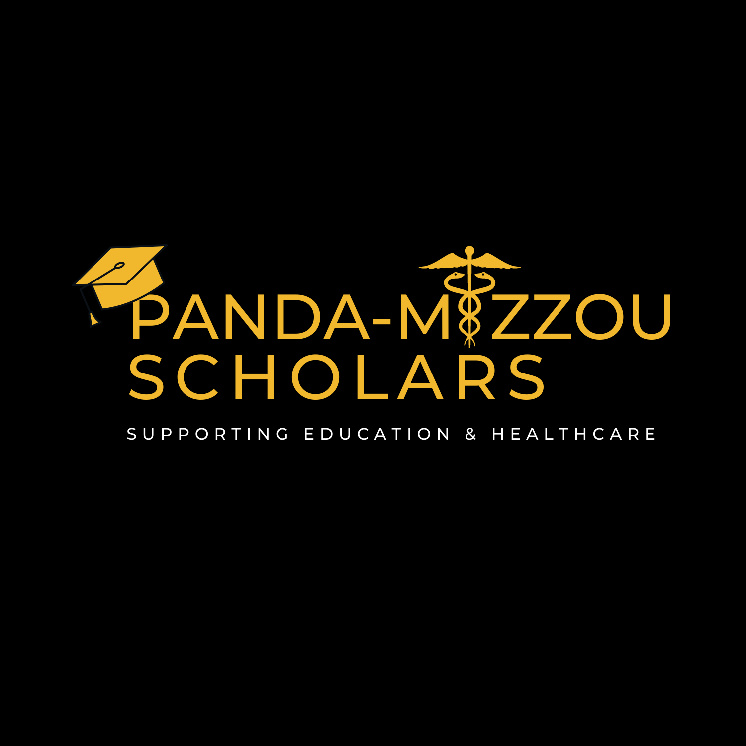 Panda-Mizzou Scholars